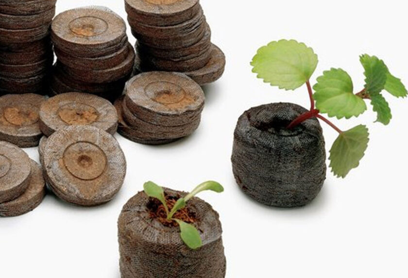 Cocopeat Pellet & Disk