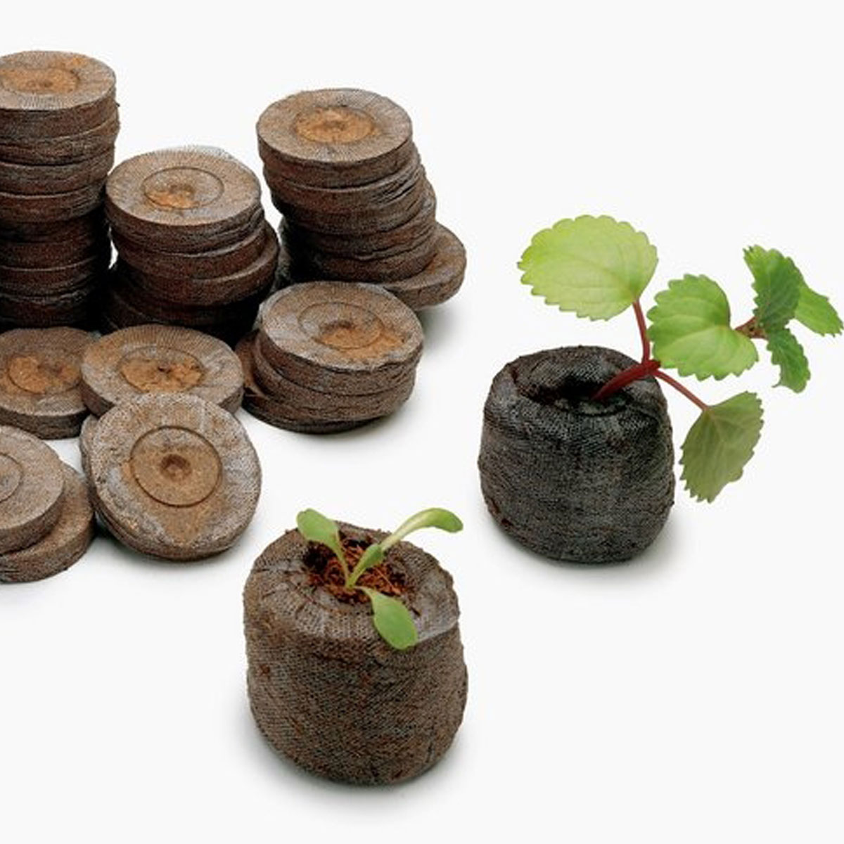 Cocopeat Pellet & Disk