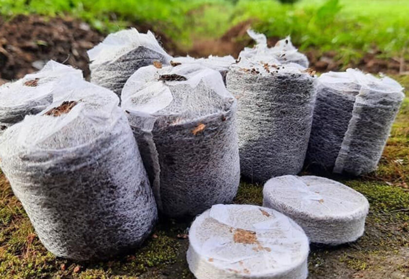 Coir Disk and Coins Advantages