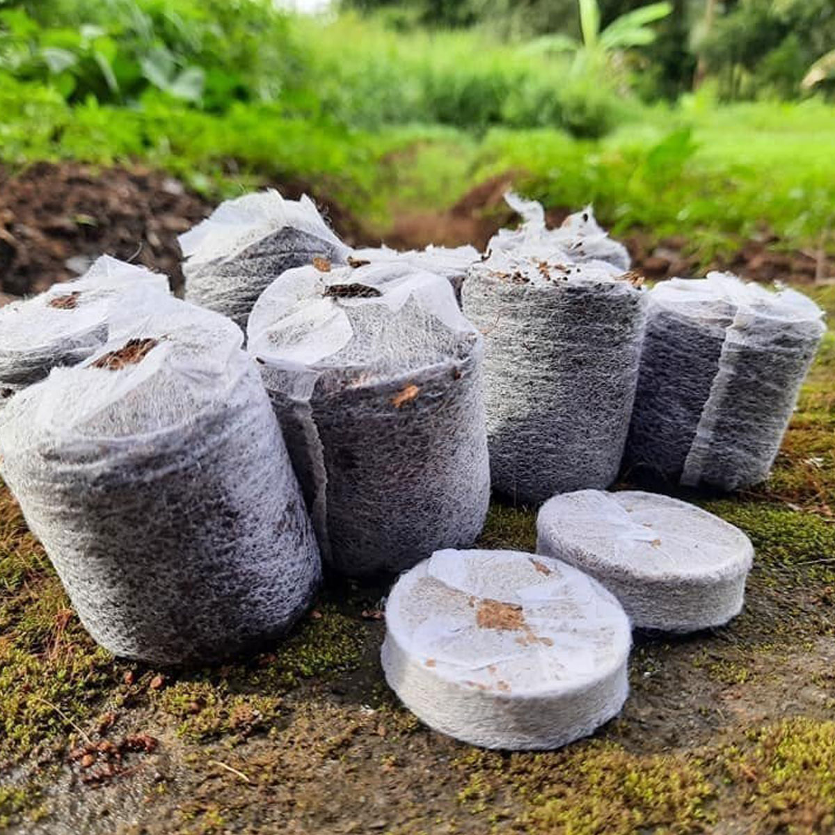 Coir Disk and Coins Advantages