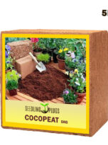 seedling-plugs-cocopeat-block-5kg