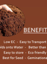 seedling-plugs-cocopeat-block-5kg-benefits