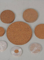 seedling-plugs-cocopeat-disk3