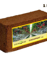 seedling-plugs-cocopeat-1kg