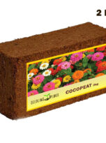 seedling-plugs-cocopeat-2kg-block