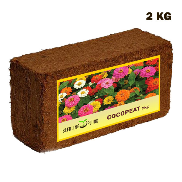 Coco Peat Blocks 2KG - Expands To 30 Litres Of Coco Peat