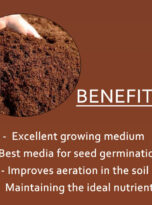 seedling-plugs-cocopeat-650gm-benefits