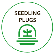 seedling-plugs